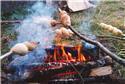 Veranstaltungsbild Lagerfeuer mit Stockbrot